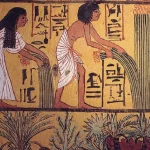 800px-Egyptian_harvest-1